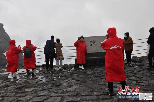 皇室战争2024：圣水采集器高效单卡使用技巧揭秘