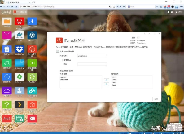 迅雷下载的文件在哪个文件夹默认在下载目录中用户可自定义设置