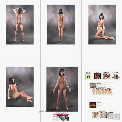 377p东洋人体据传收藏爱好者众多资源丰富更新速度快